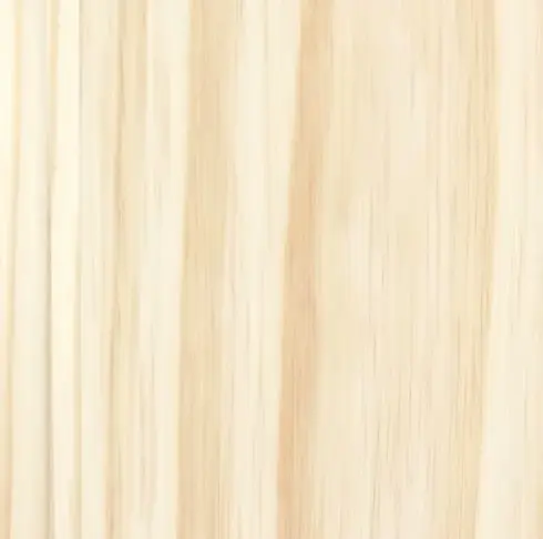 New zealand pine